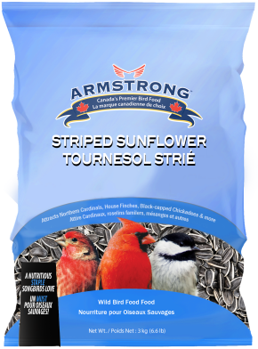 Chardon, nourriture pour oiseaux sauvages - Armstrong